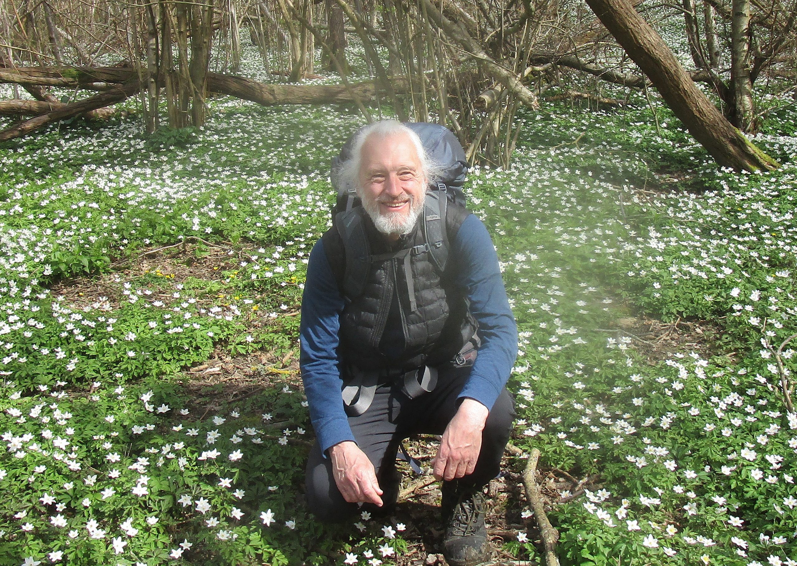 Toby Sims, independent funeral celebrant, in woodland in springtime
